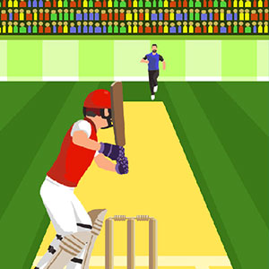 Play Pro Cricket Champion free on Workto - Pro Cricket Champion online game